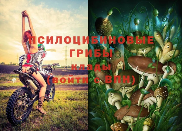 мяу мяу мука Алзамай